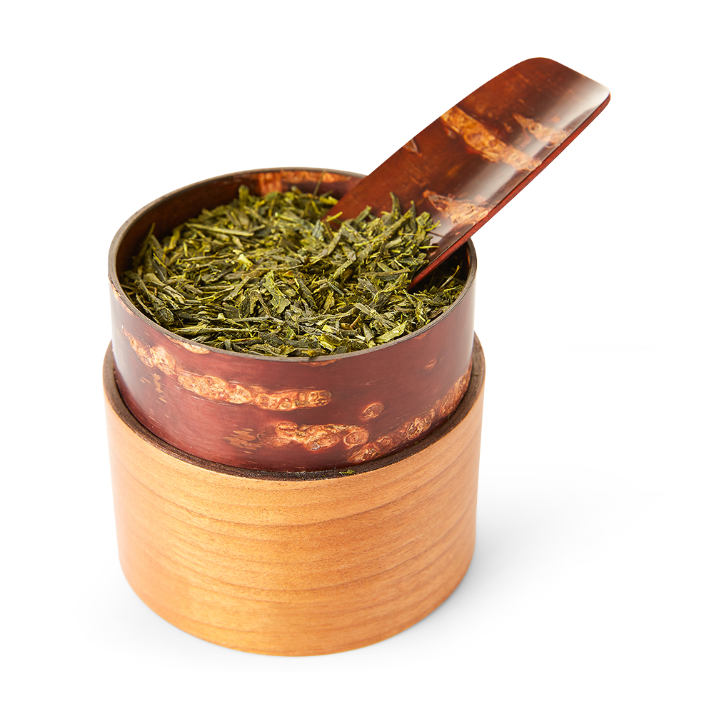 Tea Canister Sakura