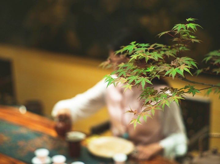 Girl holding a cup in background and tea leaves are in the front