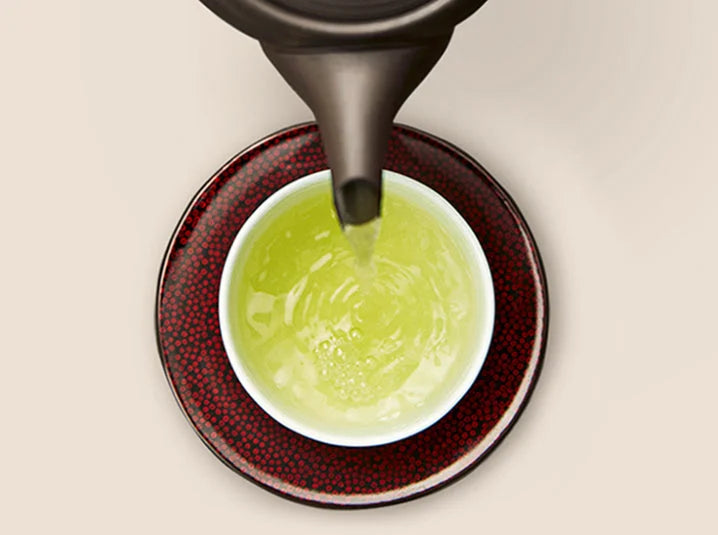 How to Steep Loose Leaf Tea: Beginner's Guide | Senbird