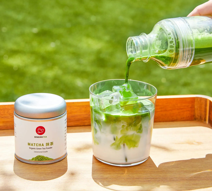 Senbird Matcha Otome tin with matcha poured from a shaker bottle into an iced latte outdoors for an on-the-go pre-workout tea ritual