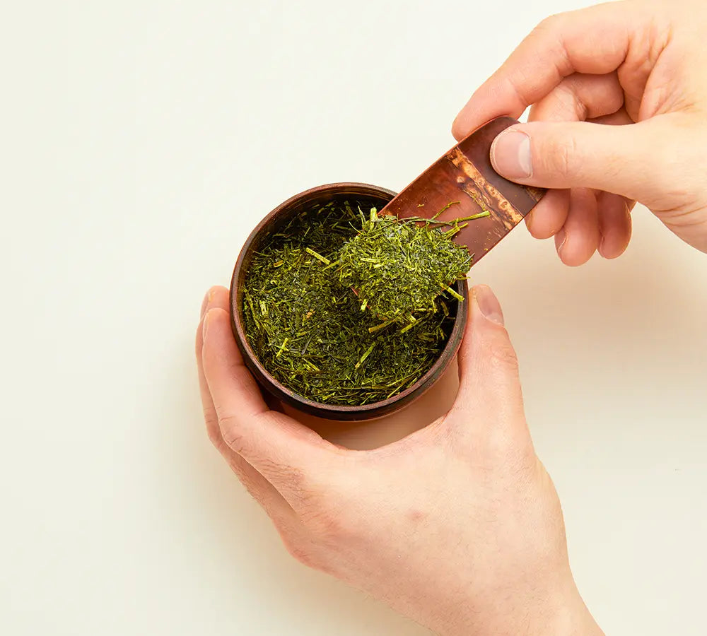 Hands scooping Japanese loose leaf green tea from a wooden tea caddy with a bamboo tea scoop