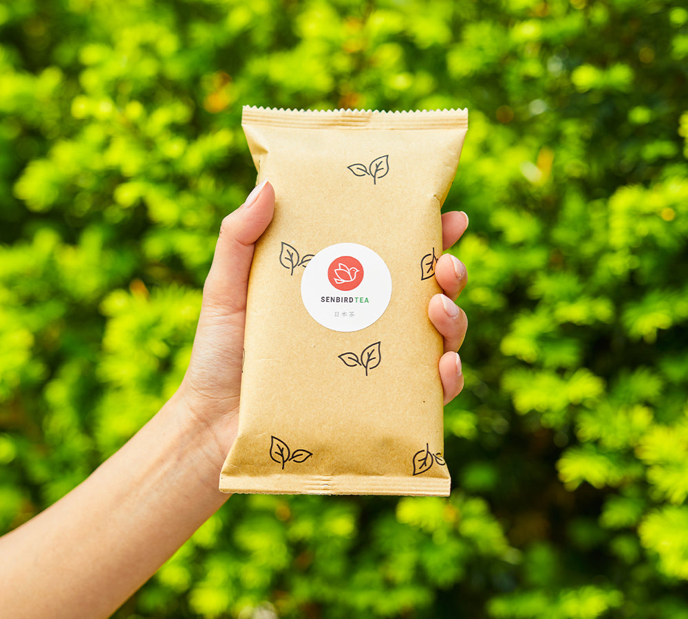 Hand holding a Senbird Japanese tea refill pouch against green leaves outdoors