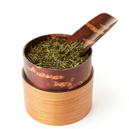 handcrafted_cherry_wood_tea_scoop_authentic_chasaji_teaspoon_in_sakura_tea_canister_authentic_chazutsu_scooping_loose_leaf_green_tea