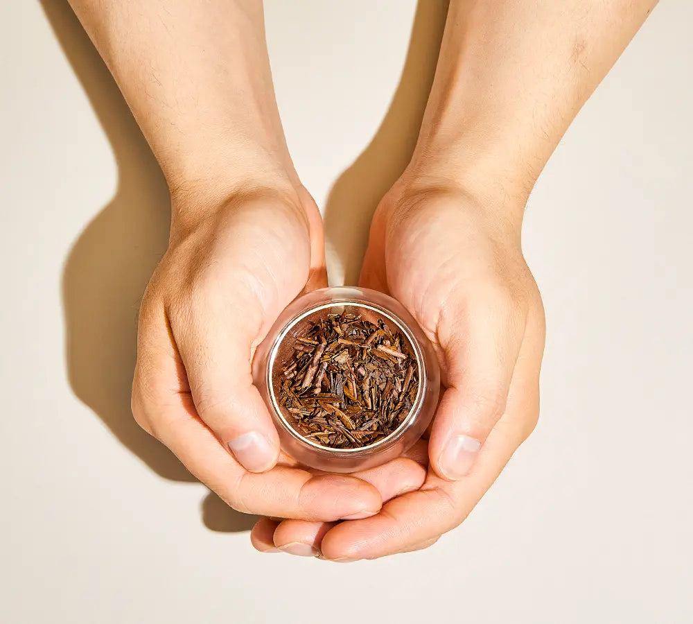 Roasted Hojicha leaves held in small canister for Japanese green tea