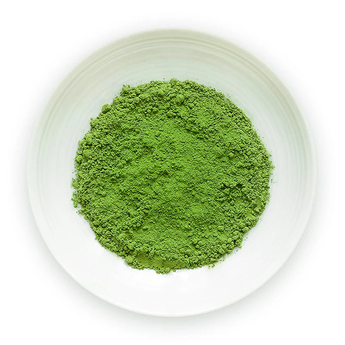 Matcha Konayuki superior ceremonial grade green tea powder on white dish top view showing vibrant green matcha from Uji Kyoto Japan bulk 500g by Senbird Tea