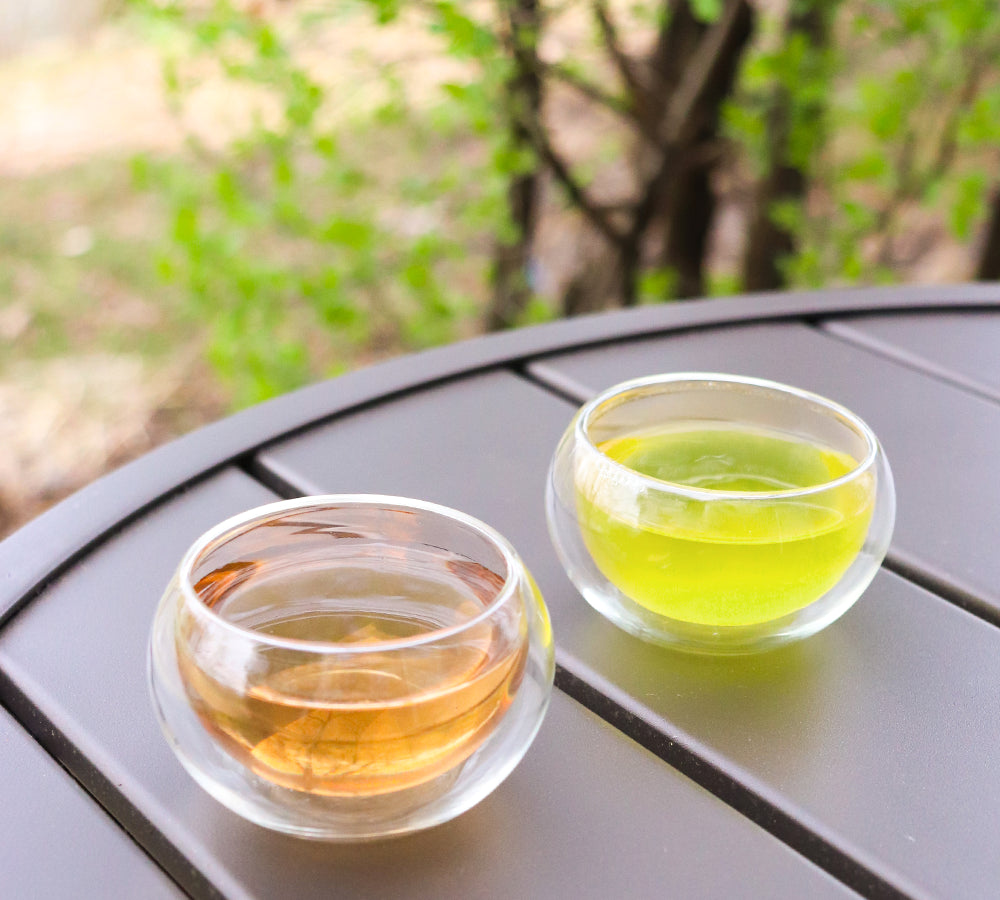 Outdoor Ryokucha Japanese green tea cups with green, amber, and yellow Sencha Gyokuro Matcha