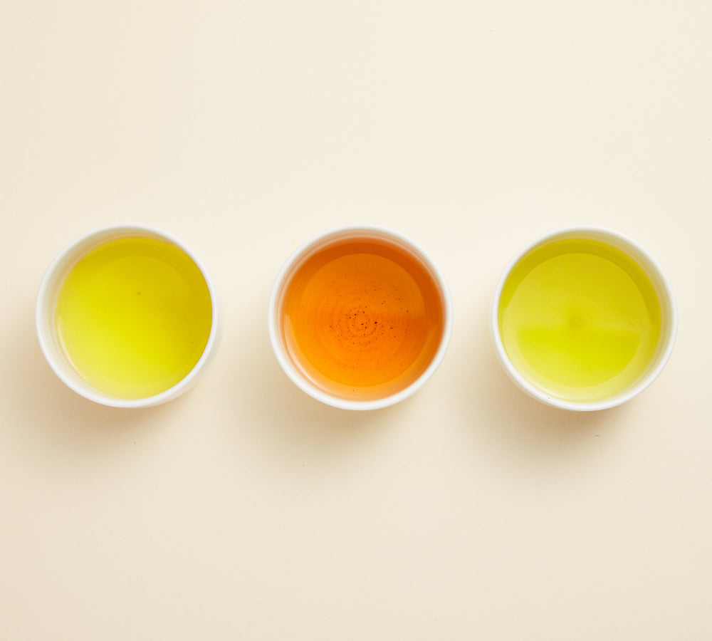 Ryokucha cups for Sencha, Gyokuro, Matcha with green and amber Japanese green tea