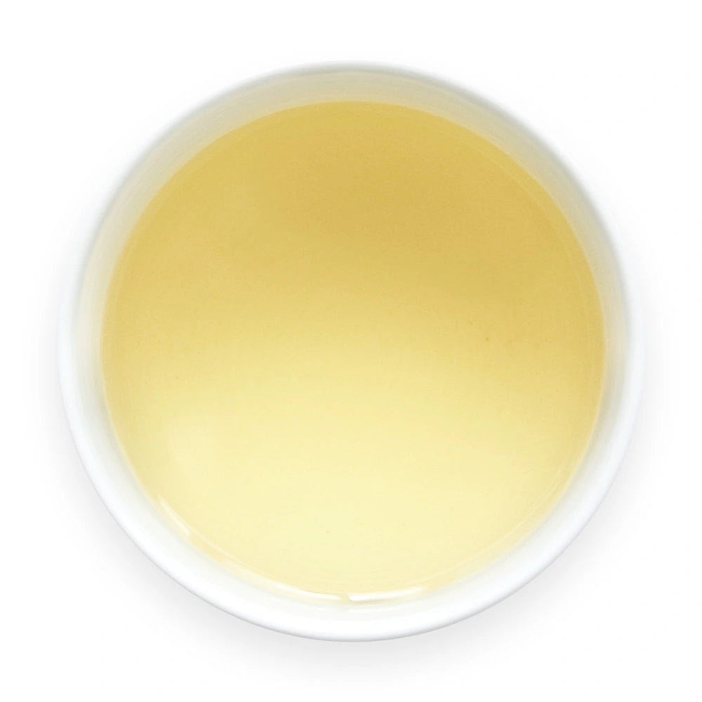 Golden Japanese tea shogacha ginger herbal tea brewed in white cup