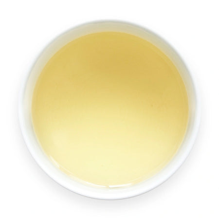 Golden Japanese tea shogacha ginger herbal tea brewed in white cup