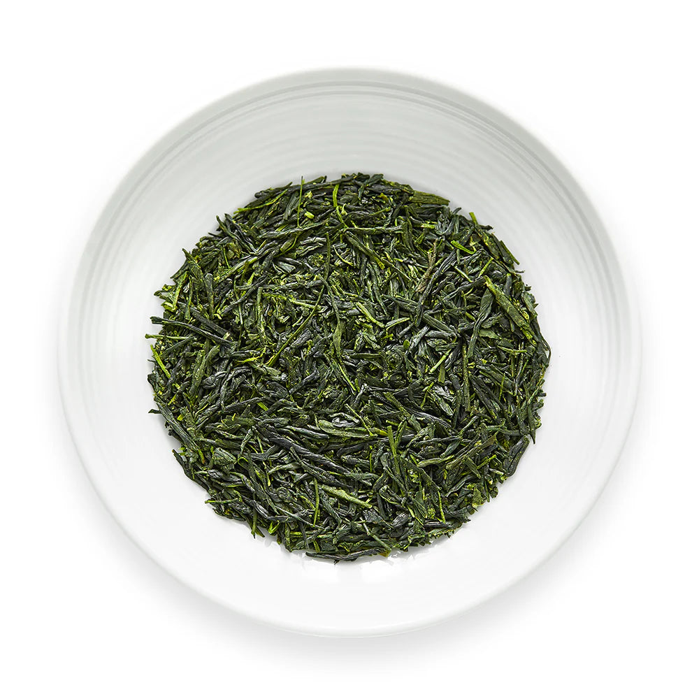 Gyokuro Isshin tea on dish by Senbird Tea