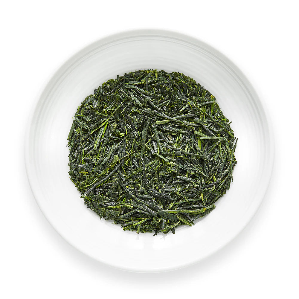 Gyokuro Kotobuki tea on dish by Senbird Tea
