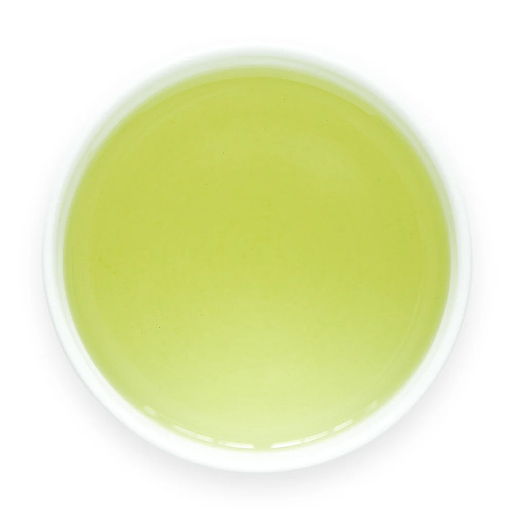 Brewed Sencha Hatsuzumi in white cup showing golden green liquor - Japanese loose leaf green tea
