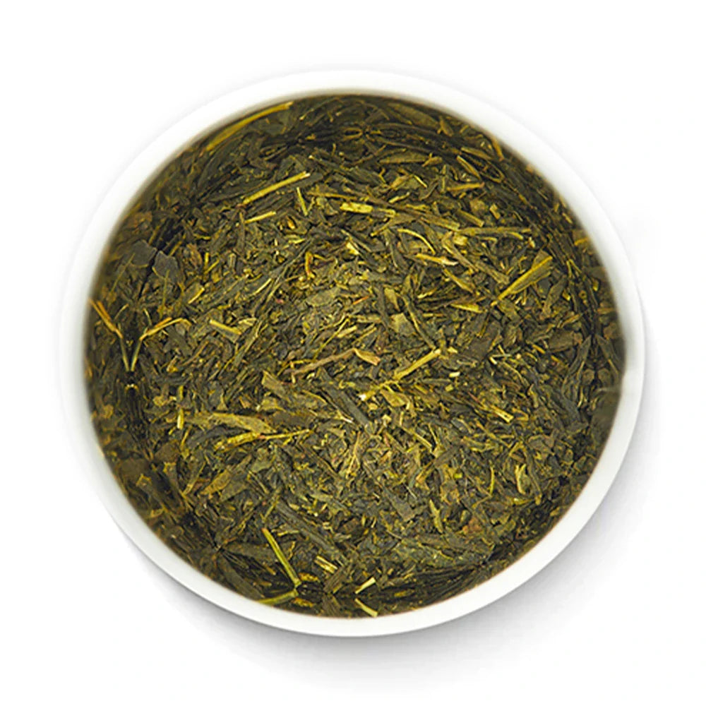 Sencha Hatsuzumi loose leaf green tea inside open tin showing tightly rolled leaves by Senbird