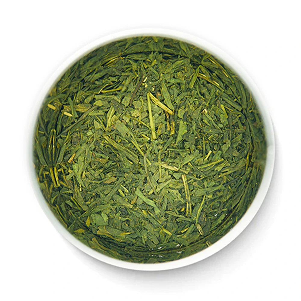 Sencha with Matcha Hime tea inside open tin by Senbird Tea