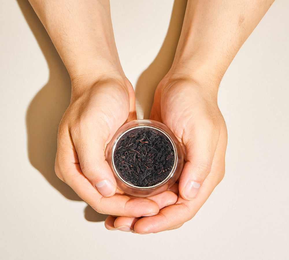 Hands holding loose Wakoucha black leaves for Japanese tea